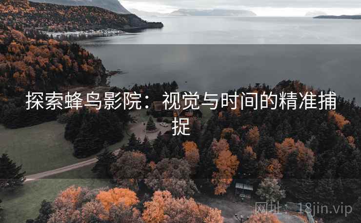 探索蜂鸟影院：视觉与时间的精准捕捉
