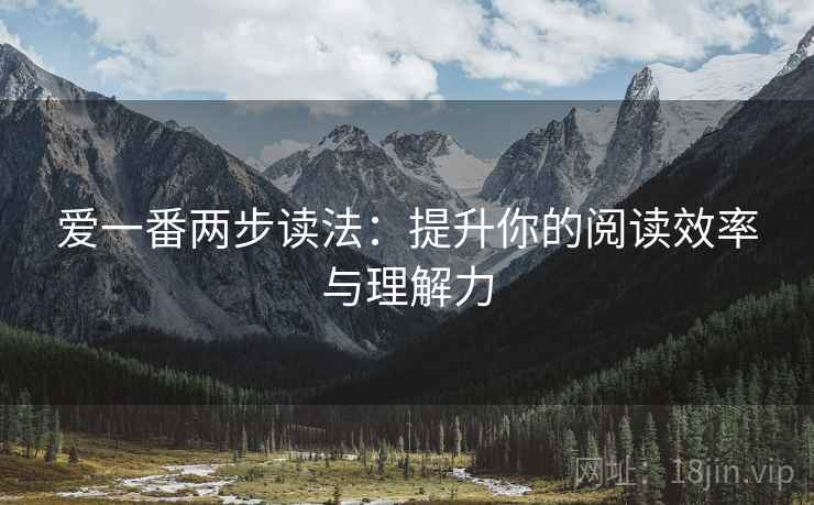 爱一番两步读法:提升你的阅读效率与理解力 爱一番两步读法:提升你的阅读效率与理解力
